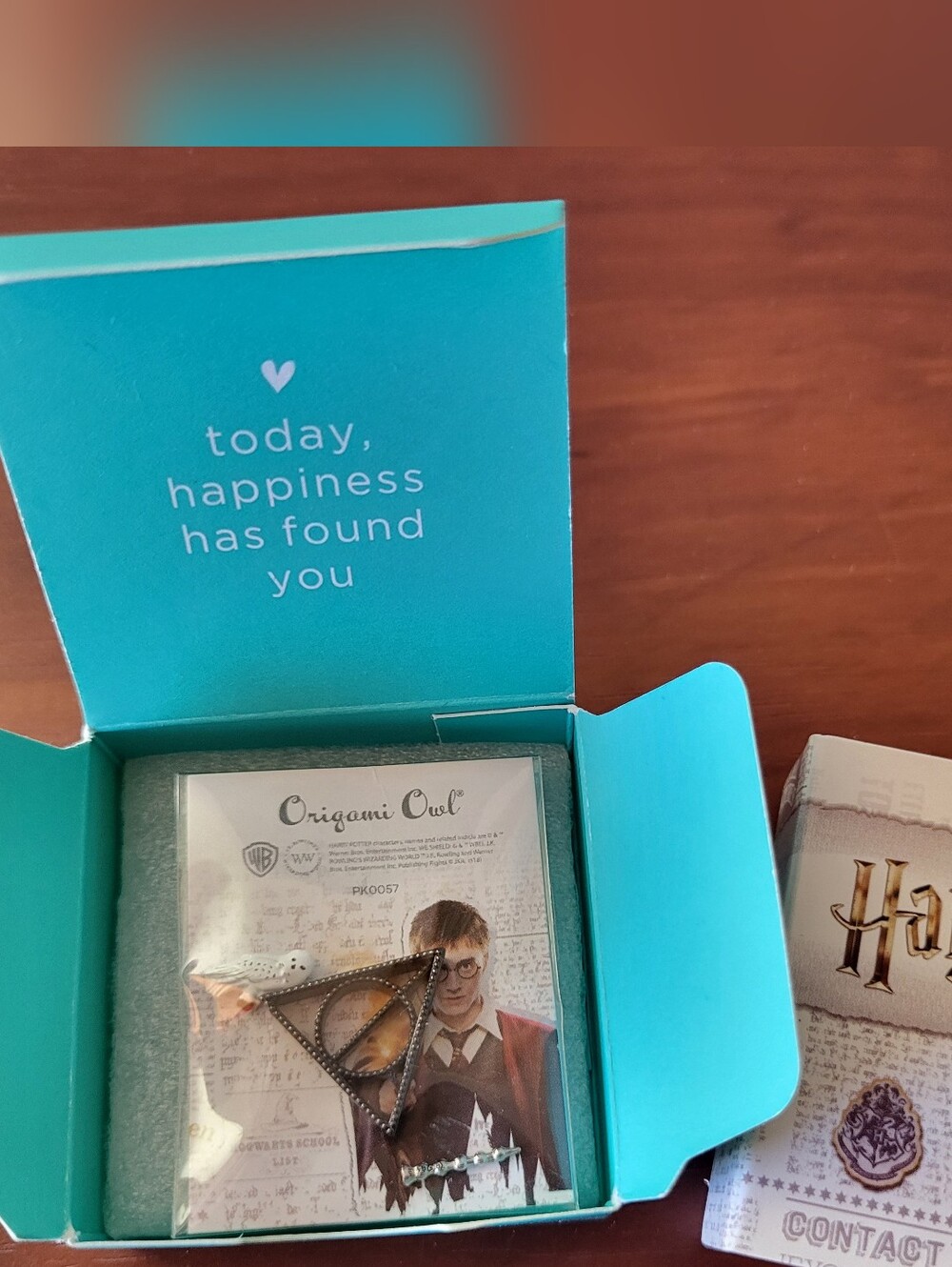 Origami Owl Harry Potter Deathly Hallows Earrings And Charms Set